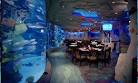 Downtown Aquarium - Houston, TX