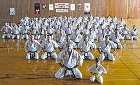 Image result for Phoenix Martial Arts