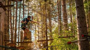 Image result for Go Ape! Thetford