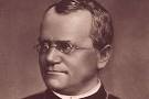 Why you should care about Gregor Mendel - CSMonitor.