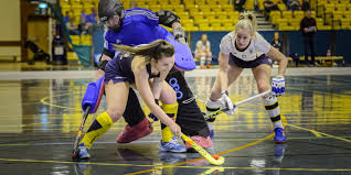Image result for Indoor Hockey (Casual Use)