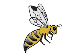 dans ABEILLES