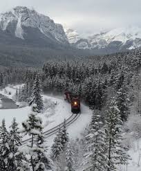 Résultat de recherche d'images pour "morant's curve"