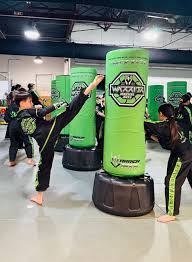 Image result for Windsor Karate Club