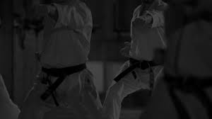 Image result for Northern Freestyle Karate Association