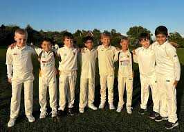 Image result for Walmley Cricket Club