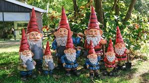 Image result for Gartenzwerg