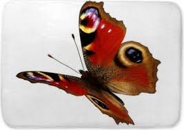 Attēlu rezultāti vaicājumam “Inachis io underside”