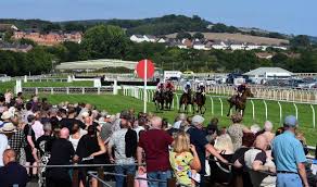 Image result for Newton Abbot Somersaults Gc