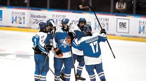 Image result for Ice Hockey International