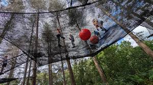 Image result for Go Ape! Moors Valley