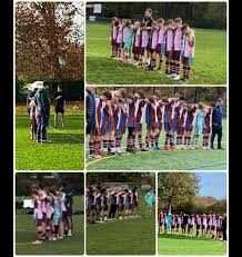 Image result for Felixstowe and Corinthians Youth Cc