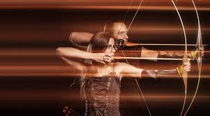 Image result for Fleet Ibex Field Archery Club