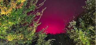 Afbeeldingsresultaat voor northern lights tomato