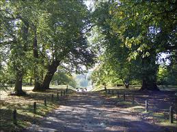 Image result for Mid Surrey Ramblers