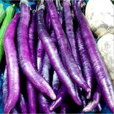 Afbeeldingsresultaat voor fengyuan purple eggplant
