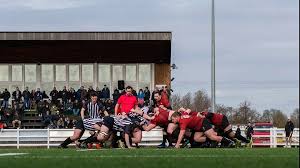 Image result for Harpenden Rugby Football Club