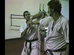 Image result for Imi Jishin Ryou karate do