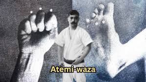 Image result for Goshin Ryu Atemi JuJitsu