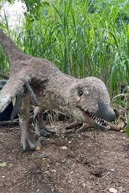 Image result for Clyde Valley Predators