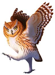 Attēlu rezultāti vaicājumam “Strigiformes”