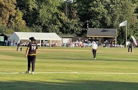 Image result for Saffron Walden Cricket Club