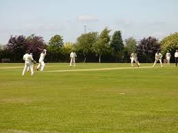 Image result for Nelson Cc