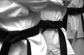 Image result for Windsor Higashi Karate Club