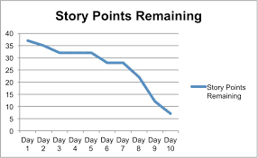 Image result for burnup chart