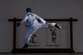 Image result for Combined self defence arts