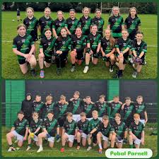 Image result for Parnells Gaelic Football Club