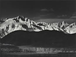 Image result for Ansel Adams Aspens New Mexico