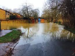 Image result for Fetcham Cannons