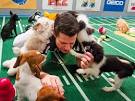 The Only Guide to the Puppy Bowl Youll Ever Need - BarkPost