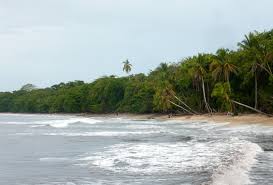 Image result for cahuita costa rica