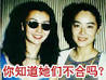 女明星争风吃醋为哪般？