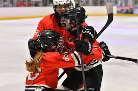 Image result for Streatham Youth Ice Hockey Club