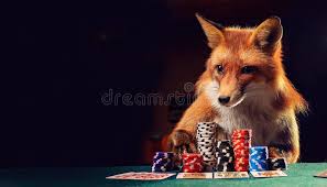Image result for Fox Poker Club