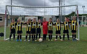 Image result for Holbeach Utd Sports & Youth Social Club
