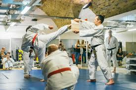 Image result for Chang's Hapkido Club