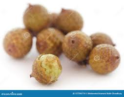 Attēlu rezultāti vaicājumam “Acorus calamus fruit”