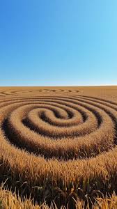 Image result for crop circles