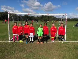 Image result for Phoenix Youth Sc