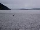 El Monstruo Del Lago Ness - Wiki Creepypasta