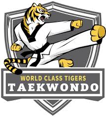 Image result for Kidderminster Tae Kwon Do Tigers