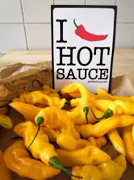 Afbeeldingsresultaat voor mme jeanette hot pepper