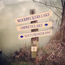 Image result for Warlingham & District Anglers` Society