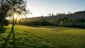 Image result for Redhill & Reigate Golf Club