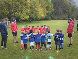 Image result for Chiddingfold Youth Fc