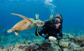 Image result for Three Seas Diving